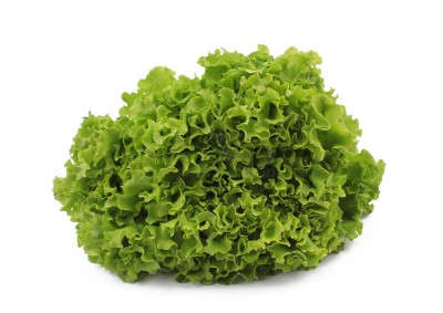 Салат романо 1 кг - купить в Новой Кирге